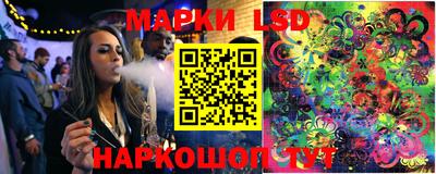 трава Сланцы