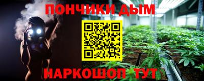 трава Сланцы